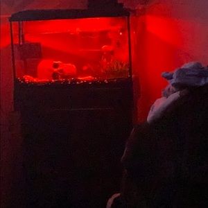 Meet your Posher, Tasha